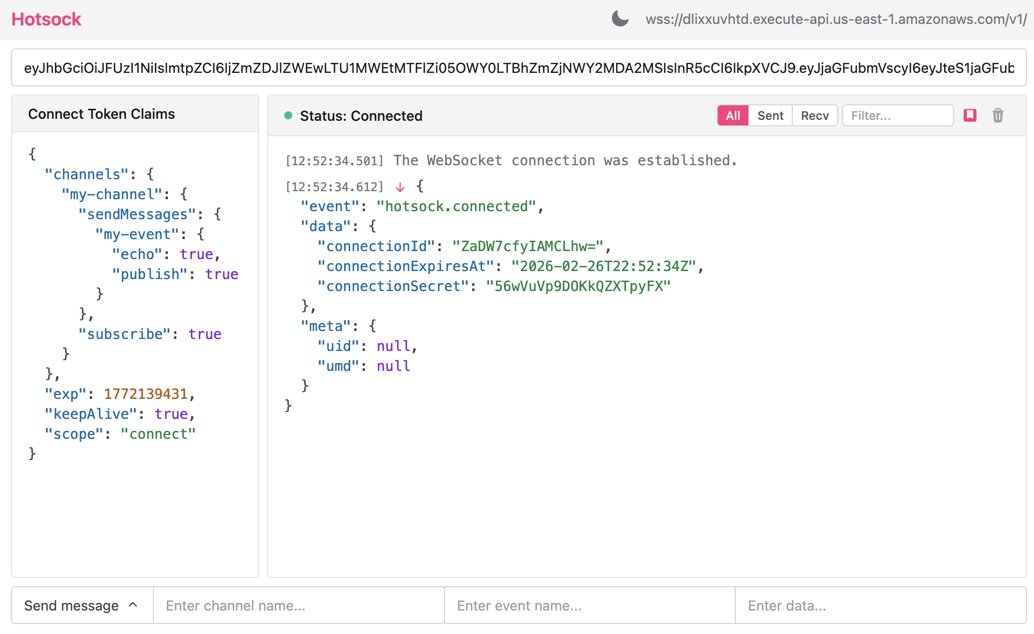Web console connected